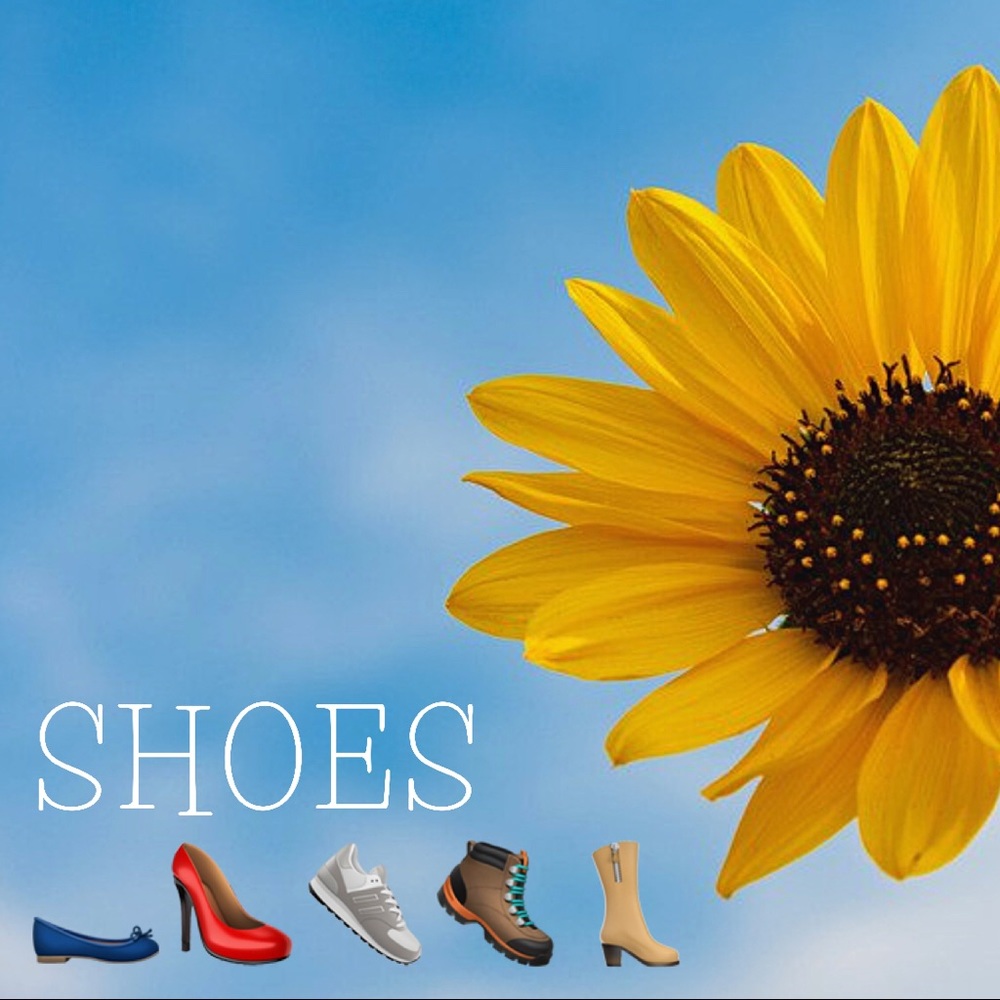 Shoes in Kimmee’s Closet